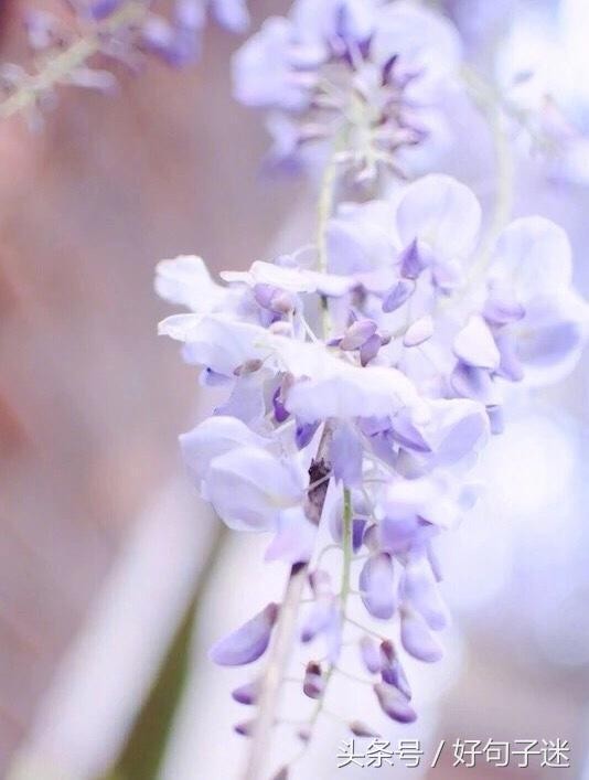 微信朋友圈最走心的爱情语录短句网络很流行很火!