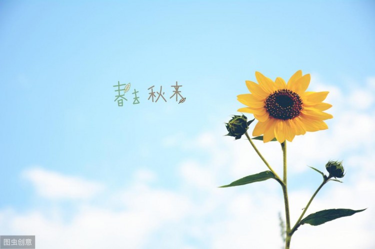 20个伤感爱情句子：一删微信便是永别愿你天黑有灯下雨有伞